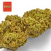 Gethemp Mandarin Haze CBD Flower Bud
