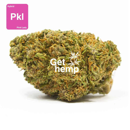 Cbd hemp bud flower pink lady