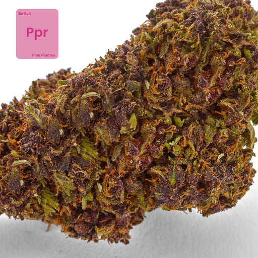 Gethemp Pink Panther CBD Flower Bud