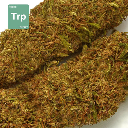 Gethemp Therapy Flower Strain