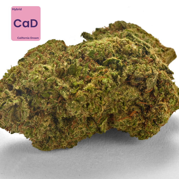 California dream cbd bud gethemp