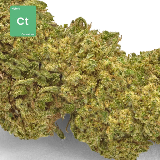 CBD hemp bud flower cannatonic