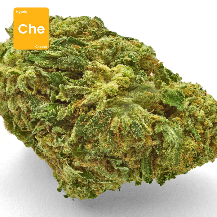 CBD hemp bud flower cheese