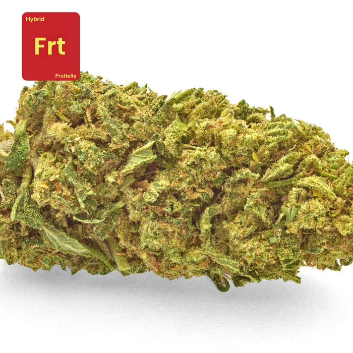CBD hemp bud flower fruttella