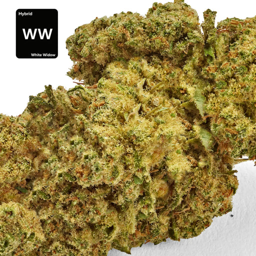Cbd hemp bud flower white widow