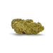 Cbd hemp bud flower white widow