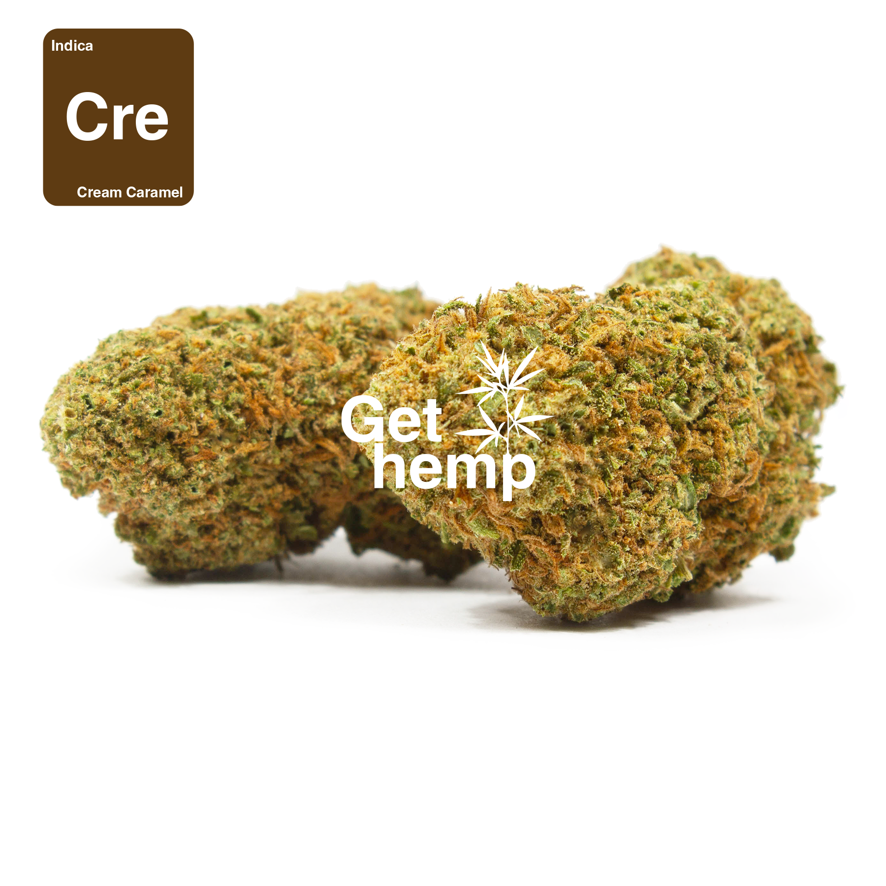 CBD FLOWER  Cream cRAMEL