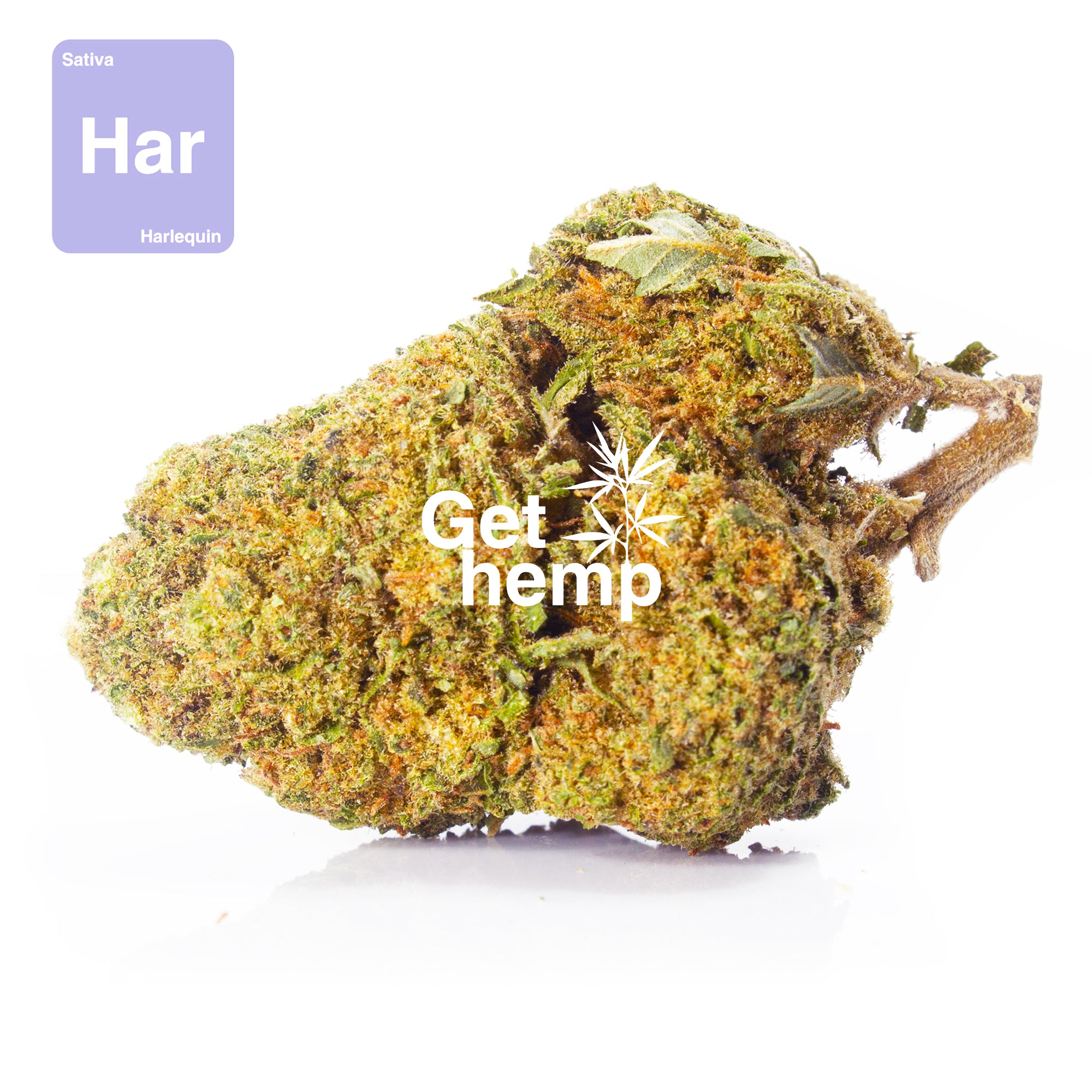 "Harlequin" CBD Hemp Flowers 